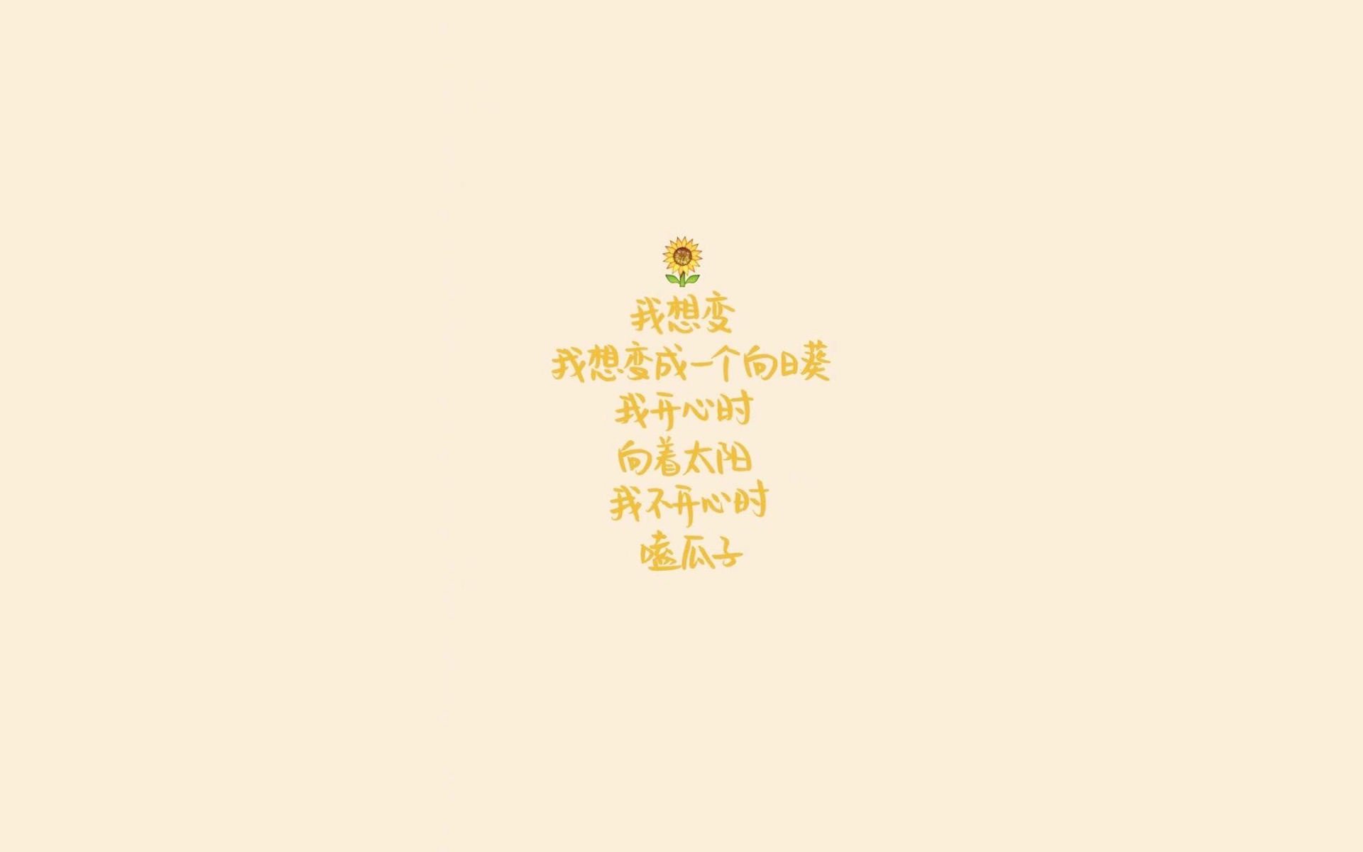 2024混合团体世界杯赛制全面革新,2024乒乓球混合团体世界杯