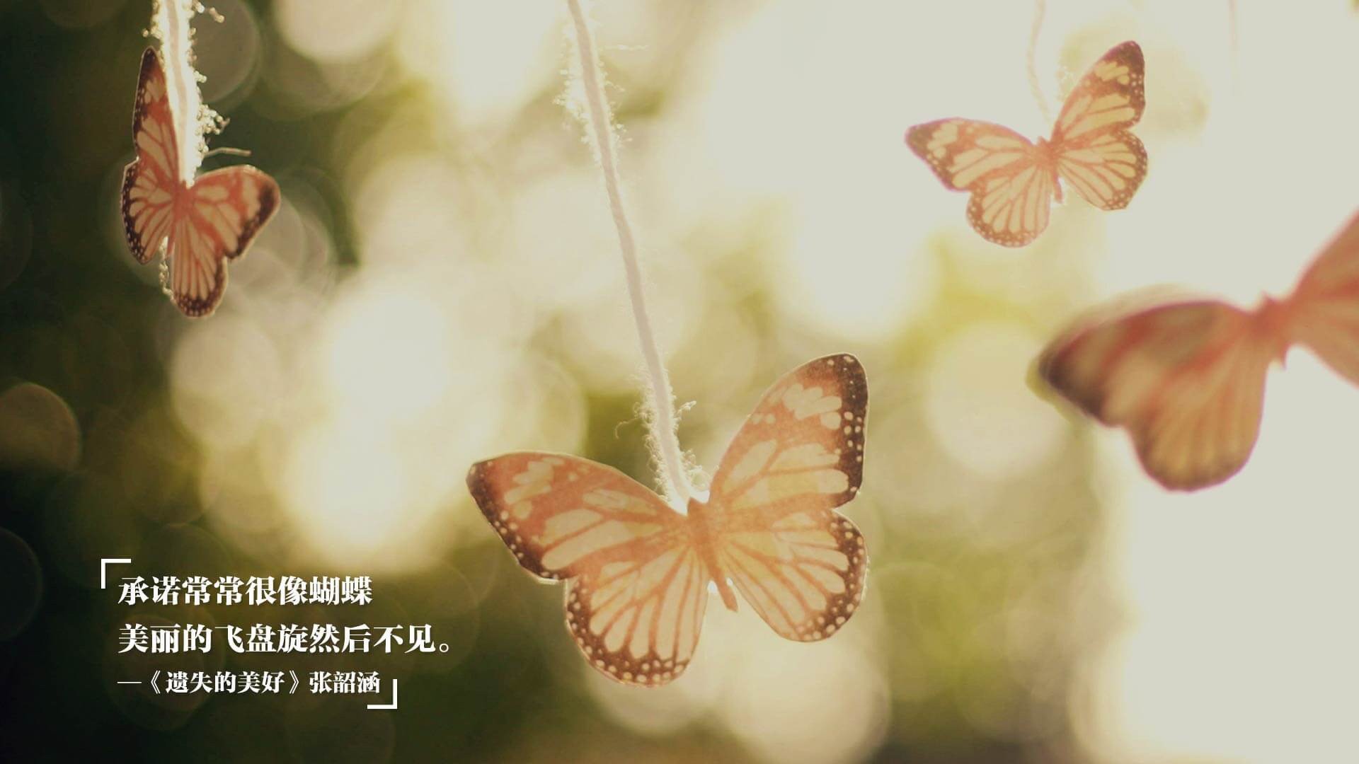 中国足球国家队技术战术演练成效明显，中国足球技术档案