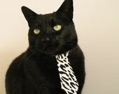 亚运会吉祥物正式发布,亚运会吉祥物正式发布于哪一年