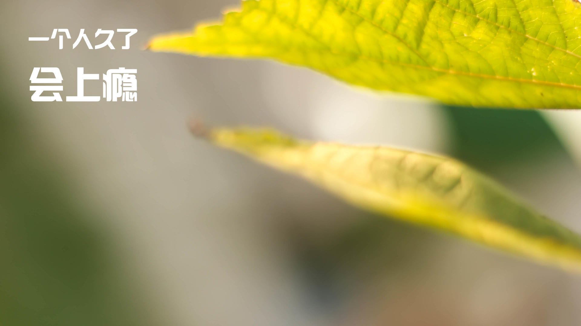 体育数据标准化工作组发布最新文件,体育标准化管理办法